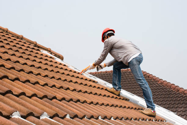 Professional Roofing and repair in North Branch, MN